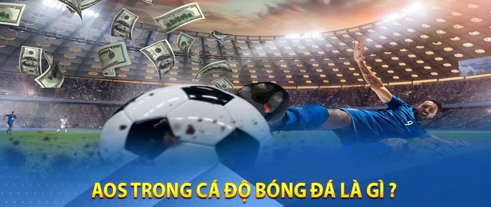 Kèo Aos Là Gì| Hướng Dẫn Từ A Đến Z Cho Người Mới Tham Gia