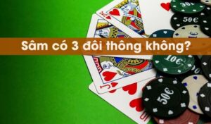 Sâm Có 3 Đôi Thông Không | Giải Đáp Thắc Mắc Chi Tiết
